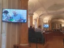 Dup, bilancio e “rientro” di artistico e hub australiani. Ma in Provincia fanno discutere sfalci e aria condizionata per i Vigili del fuoco