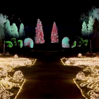 I ladri fanno visita al &quot;Giardino delle Meraviglie&quot;. E il furto fa iniziare in ritardo lo spettacolo