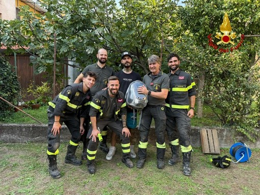 Gatto intrappolato tra due muri a Cislago: i vigili del fuoco aprono dei varchi e lo salvano