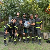 Gatto intrappolato tra due muri a Cislago: i vigili del fuoco aprono dei varchi e lo salvano Gatto intrappolato tra due muri a Cislago: i vigili del fuoco aprono dei varchi e lo salvano