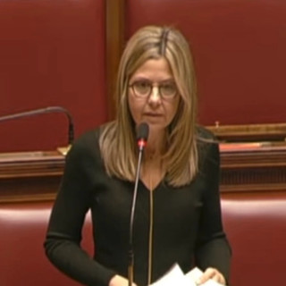 Decreto sicurezza, Gadda (IV): «Al governo dilettanti allo sbaraglio»