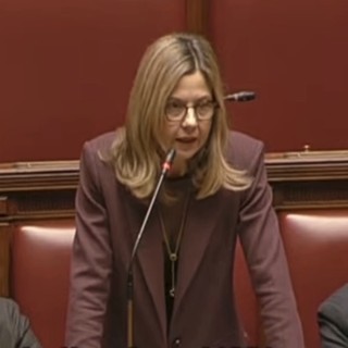 Manovra, Gadda: «Estendere legge antispreco a farmaci salute mentale»