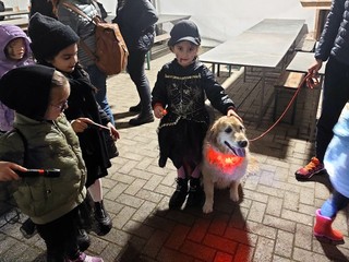 Hallobeer Amici del Gamba Olgiate