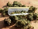 Hashish per due milioni di euro nel camion: arrestato corriere a Fagnano Olona