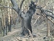 Alcune immagini dell'incendio pubblicata da OssolaNews.it Alcune immagini dell'incendio pubblicata da OssolaNews.it