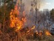 Alto rischio di incendio boschivo in tutta la Lombardia, massima attenzione nel Varesotto