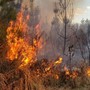 Alto rischio di incendio boschivo in tutta la Lombardia, massima attenzione nel Varesotto