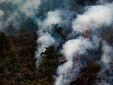 Alcune immagini dell'incendio pubblicata da OssolaNews.it Alcune immagini dell'incendio pubblicata da OssolaNews.it