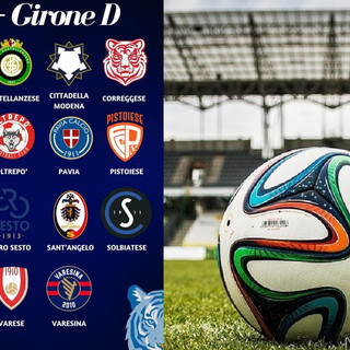 La composizione del girone D Serie D 26/27 (grafica del raggruppamento a cura di Aurora Pro Patria 1919)