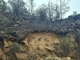 Alcune immagini dell'incendio pubblicata da OssolaNews.it Alcune immagini dell'incendio pubblicata da OssolaNews.it