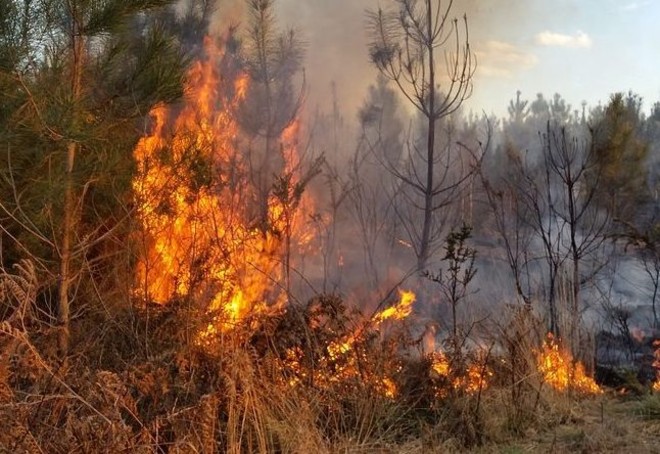 Alto rischio di incendio boschivo in tutta la Lombardia, massima attenzione nel Varesotto