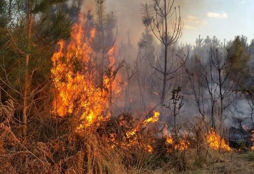 Alto rischio di incendio boschivo in tutta la Lombardia, massima attenzione nel Varesotto