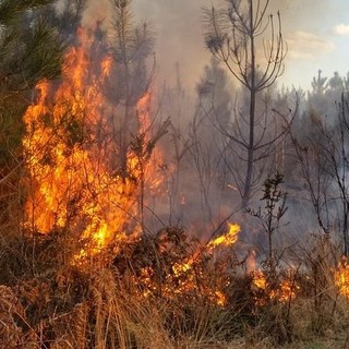 Alto rischio di incendio boschivo in tutta la Lombardia, massima attenzione nel Varesotto
