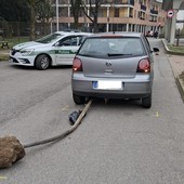 Incidente in via 11 Febbraio, palo si incastra sotto auto