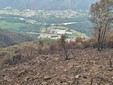 Alcune immagini dell'incendio pubblicata da OssolaNews.it Alcune immagini dell'incendio pubblicata da OssolaNews.it