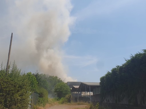 VIDEO. Incendio nell'area di Neutalia a Busto