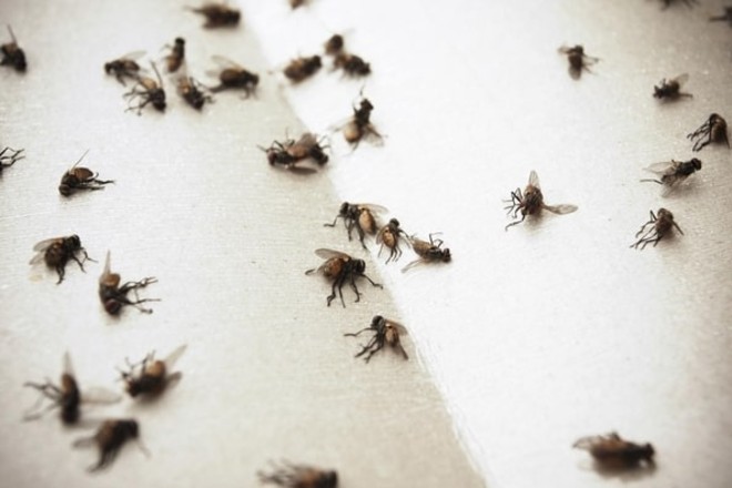 (Immagine di repertorio) (Immagine di repertorio)