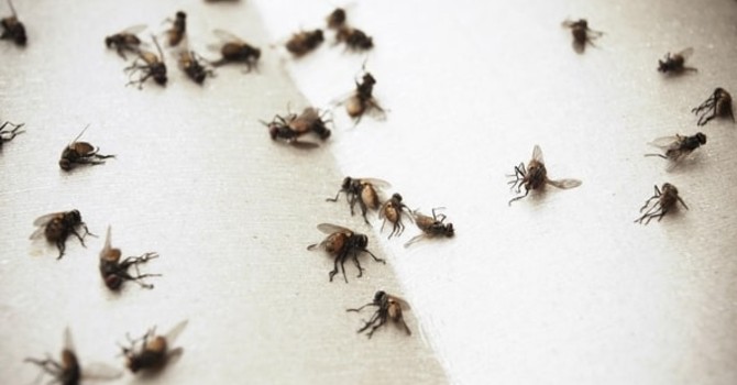 (Immagine di repertorio) (Immagine di repertorio)