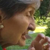 Anche il sindaco Galimberti ricorda Ivonne Trebbi: «Continueremo a tenere alti i suoi insegnamenti» Anche il sindaco Galimberti ricorda Ivonne Trebbi: «Continueremo a tenere alti i suoi insegnamenti»