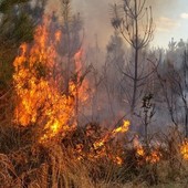 Alto rischio di incendio boschivo in tutta la Lombardia, massima attenzione nel Varesotto