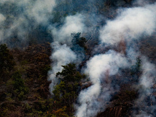Alcune immagini dell'incendio pubblicata da OssolaNews.it Alcune immagini dell'incendio pubblicata da OssolaNews.it