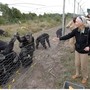 Scienze: addio a Jane Goodall, la donna che parlava con gli scimpanzé