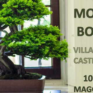 Il Giappone in miniatura a Villa Pomini