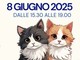 Cat Village, dieci anni coi baffi: una festa tra divertimento e solidarietà