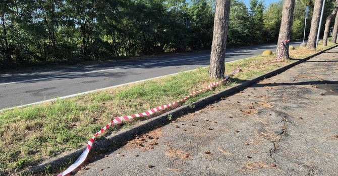 Castellanza, è un 41enne marocchino l’uomo ucciso e trovato in un parcheggio Castellanza, è un 41enne marocchino l’uomo ucciso e trovato in un parcheggio