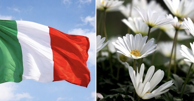 Liberazione, bancarelle e primavera: così si colora il weekend nel Bustese