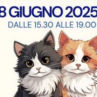 Cat Village, dieci anni coi baffi: una festa tra divertimento e solidarietà