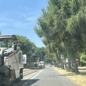 Al via i lavori di asfaltatura in viale Gabardi