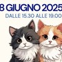 Cat Village, dieci anni coi baffi: una festa tra divertimento e solidarietà