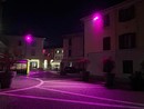 Gallarate, al via i lavori per l’illuminazione artistica del centro Gallarate, al via i lavori per l’illuminazione artistica del centro