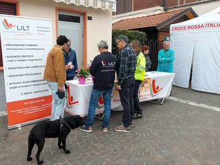 Lions Day a Olgiate Olona Lions Day a Olgiate Olona