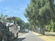 Al via i lavori di asfaltatura in viale Gabardi