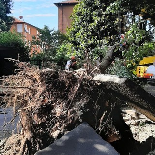 (Immagine di archivio)