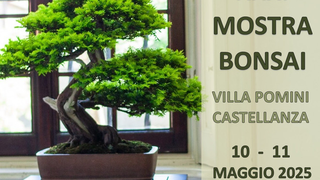 Il Giappone in miniatura a Villa Pomini