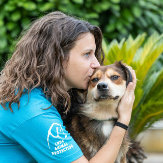 “Un inverno senza gabbie”, la campagna di LDC Animal Protection: «Aprite casa e cuore»