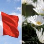 Liberazione, bancarelle e primavera: così si colora il weekend nel Bustese