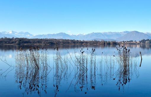 METEO. L'anticipo di primavera continua: «Giornate ben soleggiate e con temperature oltre la media del periodo» METEO. L'anticipo di primavera continua: «Giornate ben soleggiate e con temperature oltre la media del periodo»