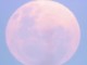 Luna di Fragola in arrivo: cosa succede l'11 giugno e come osservarla