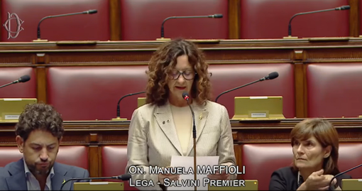 La legge elettorale e il «collegio uninominale di Borsano». Alla Camera il “refuso” dell’onorevole Maffioli La legge elettorale e il «collegio uninominale di Borsano». Alla Camera il “refuso” dell’onorevole Maffioli