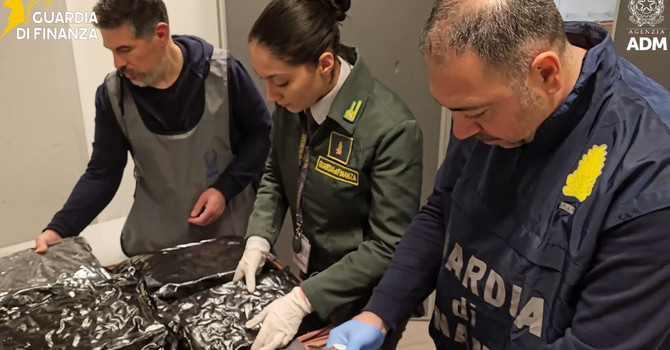 Dagli Stati Uniti con 17 chili di marijuana in valigia: passeggera arrestata a Malpensa Dagli Stati Uniti con 17 chili di marijuana in valigia: passeggera arrestata a Malpensa