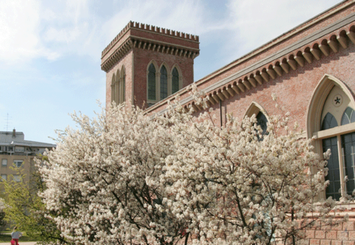 Museo del Tessile, la mostra degli studenti nella sala gemella