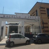 Patronale di Busto, l’ex Macello “cornice” della Giornata del ringraziamento? Patronale di Busto, l’ex Macello “cornice” della Giornata del ringraziamento?