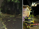 Un albero caduto a Busto Arsizio e Vigili del fuoco al lavoro nella notte a Samarate (foto dalla pagina Facebook del Comune) Un albero caduto a Busto Arsizio e Vigili del fuoco al lavoro nella notte a Samarate (foto dalla pagina Facebook del Comune)