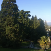 Il cielo oggi a Varese (foto webcam Centro Geofisico Prealpino)