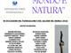 Mondo e Natura: l’arte internazionale protagonista a Brera durante il Fuorisalone 2026 Mondo e Natura: l’arte internazionale protagonista a Brera durante il Fuorisalone 2026