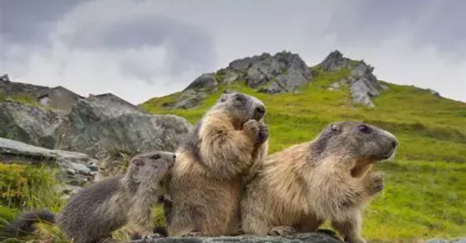 Nasce Family Cai Busto Arsizio: l’escursionismo diventa un’avventura per tutta la famiglia